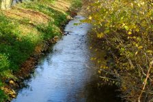 Herbst in Hattrop 2018